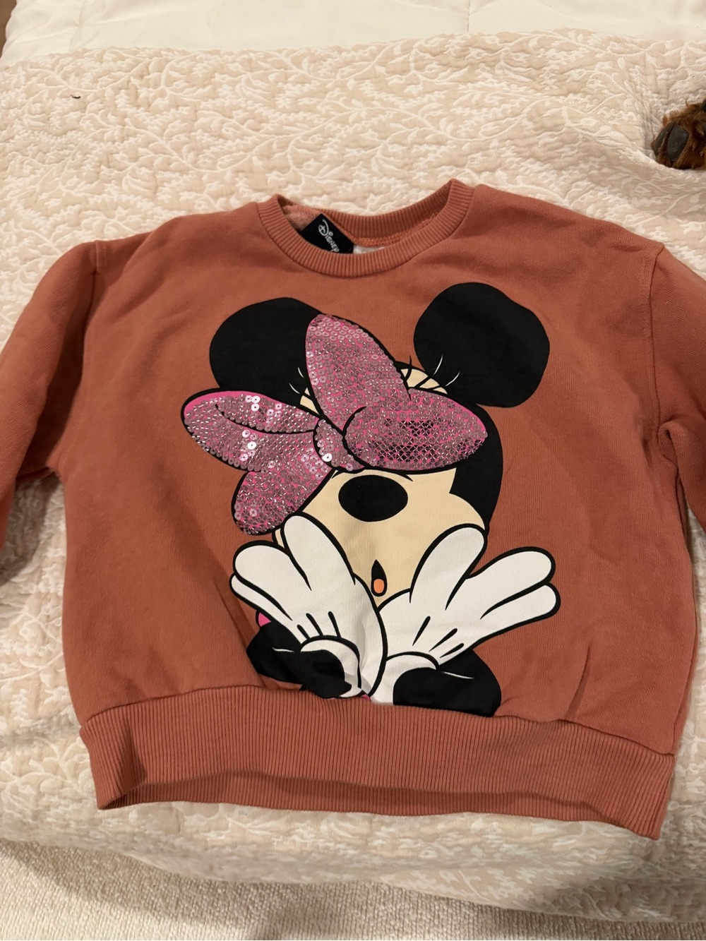 Zara/Disney Minnie Mouse Girls' Pink Bow Rust Sweatshirt